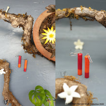 Load image into Gallery viewer, the ANILAs