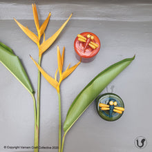 Load image into Gallery viewer, DRAGONFLY GIFT BOX (Single)