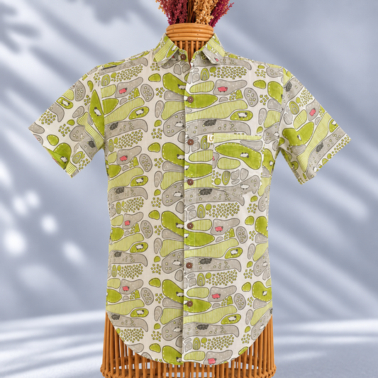 WOOLSWORTH HALF SLEEVES