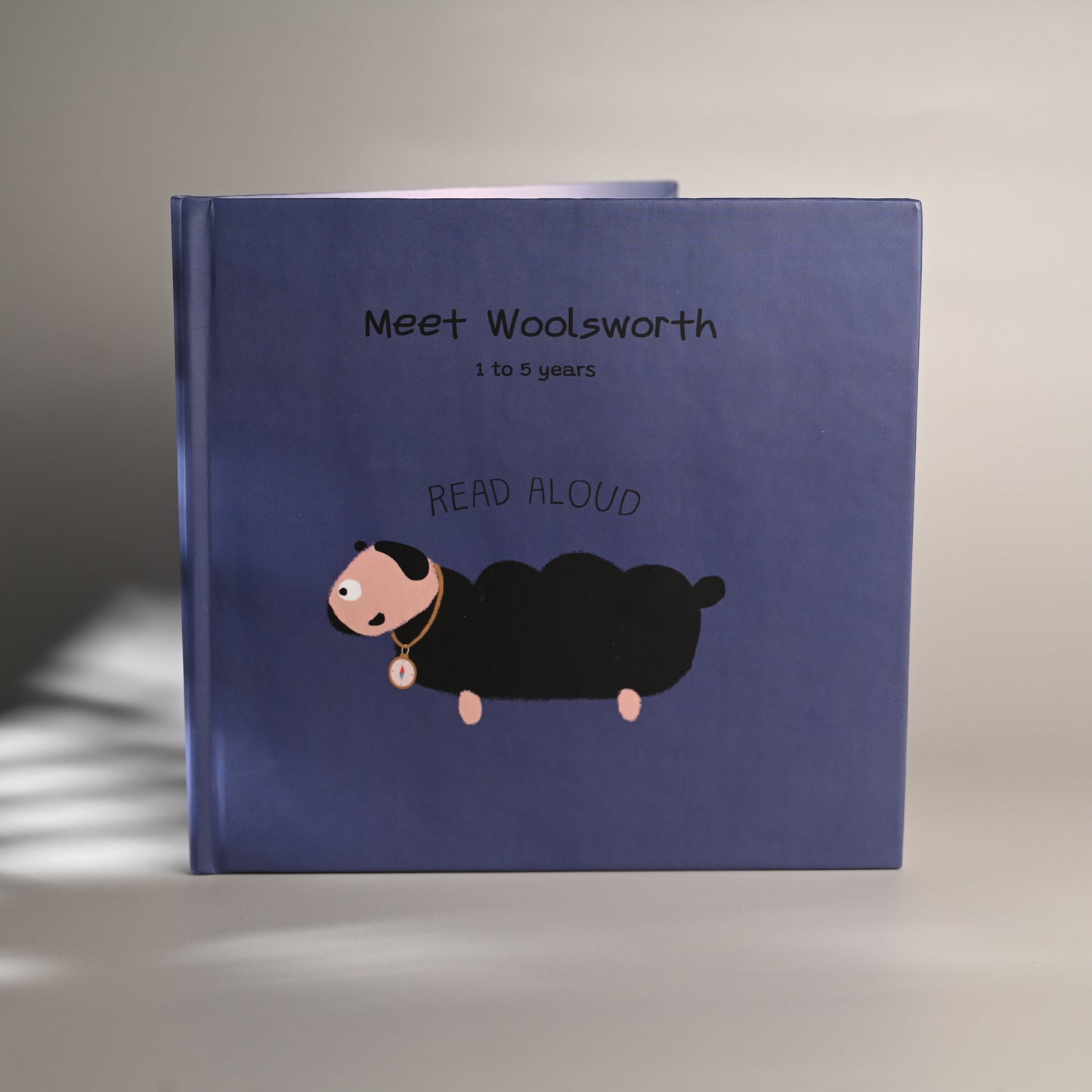 the WOOLSWORTH STORYBOOK