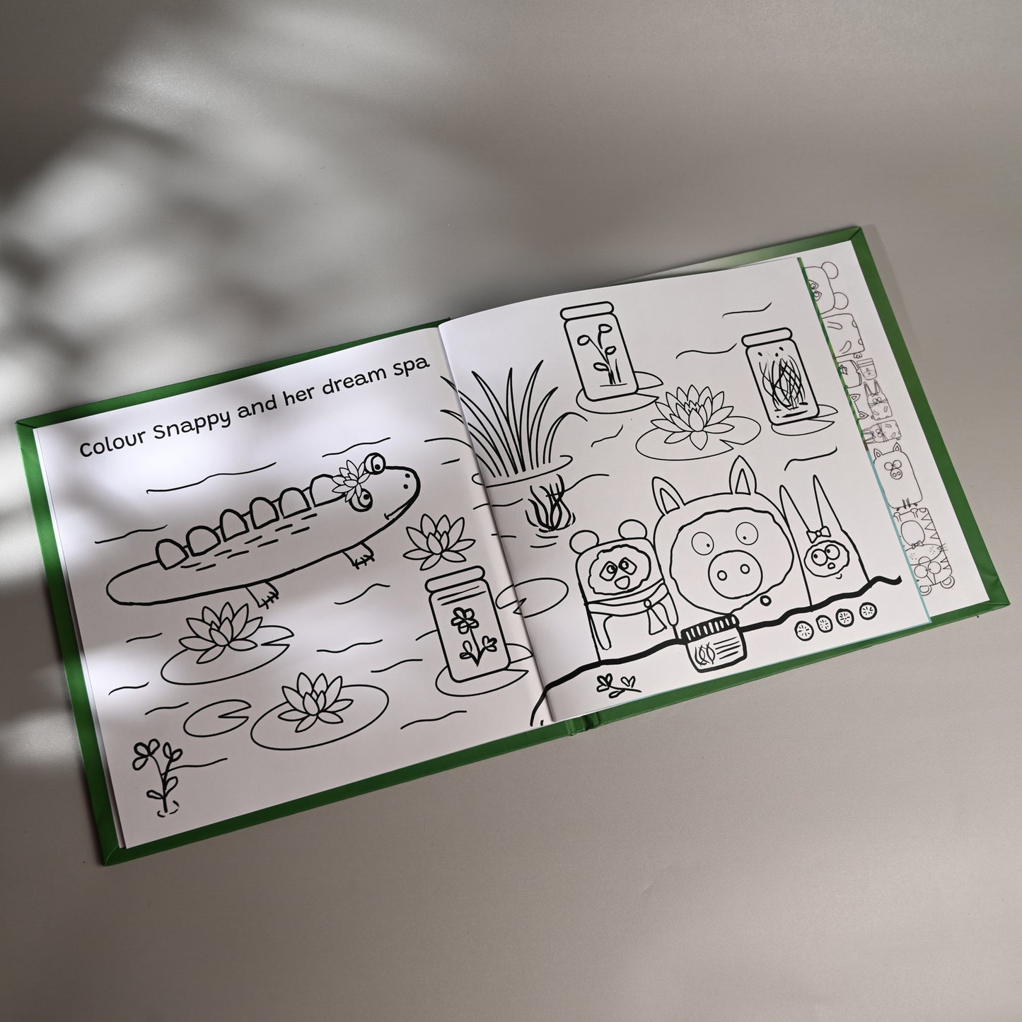 the SNAPPY STORYBOOK